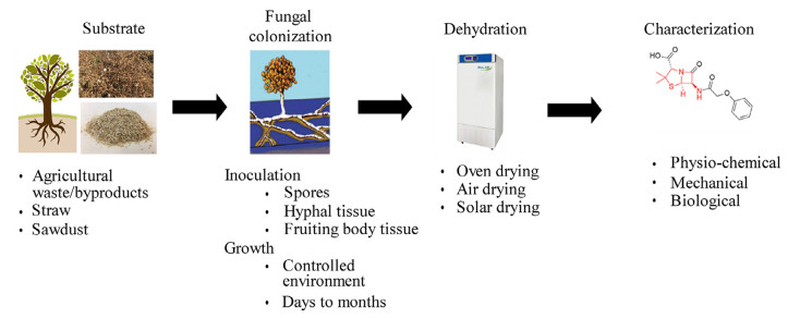 Living Fungal Electronic Devices Made of Mycelium or Composites
